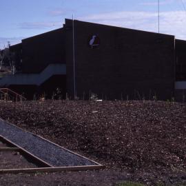 Shortland Wetlands Centre, NSW, August 1987
