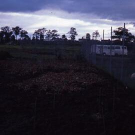 Shortland Wetlands, NSW, 1986-June 1988