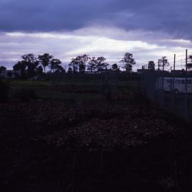 Shortland Wetlands, NSW, 1986-June 1988