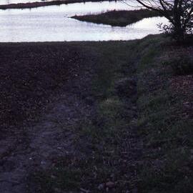 Shortland Wetlands, NSW, 1986-June 1988