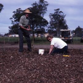 Shortland Wetlands, NSW, 1986-June 1988