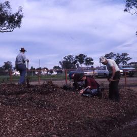 Shortland Wetlands, NSW, 1986-June 1988