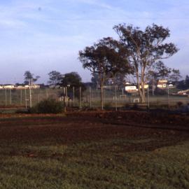Shortland Wetlands, NSW, 1986-June 1988