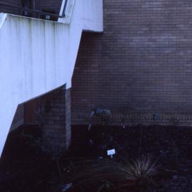Entrance ramp, Shortland Wetlands Centre, NSW, 1986-June 1988