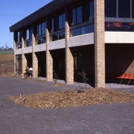 Shortland Wetlands, NSW, 1986-June 1988