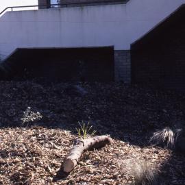 Visitors Centre gardens, Shortland Wetlands, NSW, 1986-June 1988