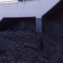 Visitors Centre garden, Shortland Wetlands, NSW, 1986-June 1988