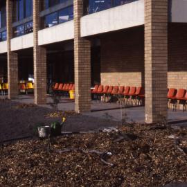 Visitors Centre gardens, Shortland Wetlands, NSW, June 1987