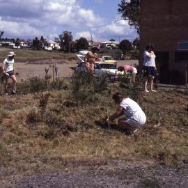 Weeding bee, Shortland Wetlands, NSW, December 1987