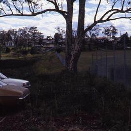 Pre-weeding Maculata garden, Shortland Wetlands, NSW, December 1987