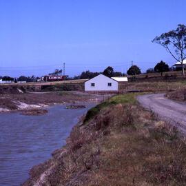 Canoe Trail, Shortland Wetlands, NSW, December 1987