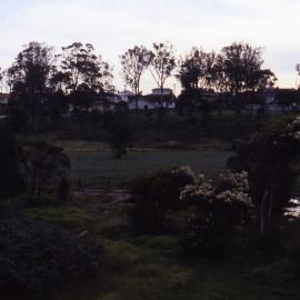 Triglochin Swamp, Shortland Wetlands, NSW, December 1987
