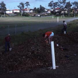 Planting bee, Shortland Wetlands, NSW, March 1988