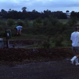 Planting bee, Shortland Wetlands, NSW, March 1988