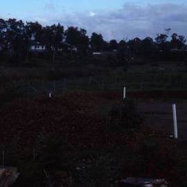 Lower end drive, Shortland Wetlands, NSW