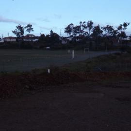 Lower end drive, Shortland Wetlands, NSW, March 1988