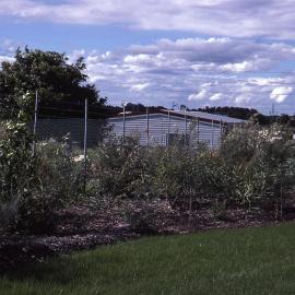 Amenities block, Shortland Wetlands, NSW, May 1988