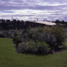 Front garden, Shortland Wetlands, NSW, March 1988