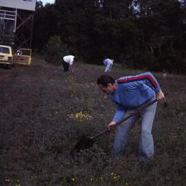 Murray [Dawes], Egret hide working bee, Shortland Wetlands, NSW, May 1988