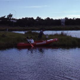Planting Brambles Island, Shortland Wetlands, NSW, May 1988