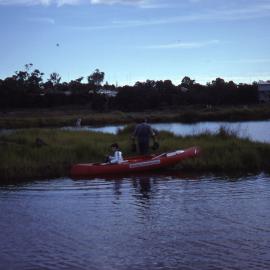 Planting Brambles Island, Shortland Wetlands, NSW, May 1988