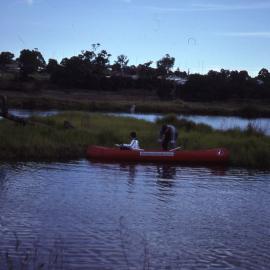 Planting Brambles Island, Shortland Wetlands, NSW, May 1988