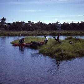 Planting Brambles Island, Shortland Wetlands, NSW, May 1988