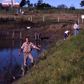 Gary Roworth, Shortland Wetlands, NSW, 26 August 1988