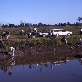 Canoe Trail planting, Shortland Wetlands, NSW, 26 August 1988