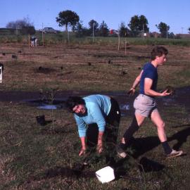 Barbara Burke, Shortland Wetlands, NSW, 26 June 1988