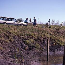 Canoe Trail planting, Shortland Wetlands, NSW, 26 June 1988