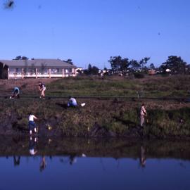 Canoe trail, planting bee, Shortland Wetlands, NSW, 26 June 1988