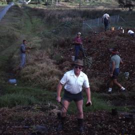 Planting bee, Tuxford Park fence, Shortland Wetlands, NSW, March 1988