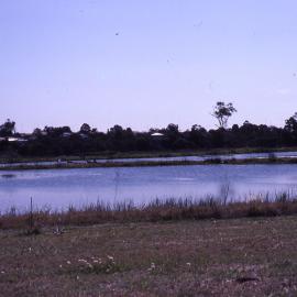 Shortland Wetlands, NSW, October 1988