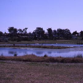 Shortland Wetlands, NSW, October 1988