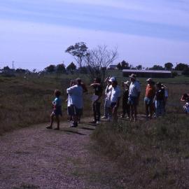 Bird watcher's walk, Shortland Wetlands, NSW, December 1988