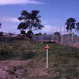 Tuxford Park Trail, Shortland Wetlands, NSW, October 1988