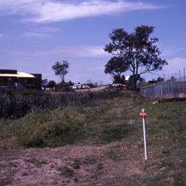 Tuxford Park Trail, Shortland Wetlands, NSW, October 1988