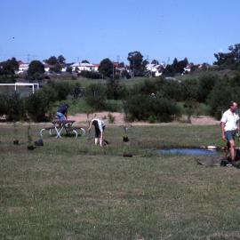 Lions Clubs Picnic Area planting, Shortland Wetlands, NSW, Autumn 1989