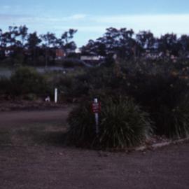Visitors Centre car park, Shortland Wetlands, NSW, June 1989