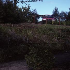 Entrance ramp pre-planting, Shortland Wetlands, NSW, June 1989