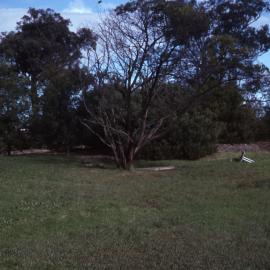 Visitors Centre pre-planting, Shortland Wetlands, NSW, June 1989