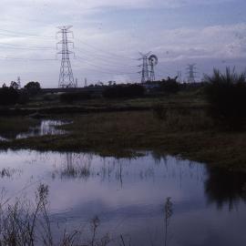 Canoe Trail Island pre-plant, Shortland Wetlands, NSW, June 1989