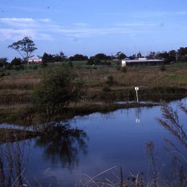 Canoe Trail Island pre-planting, Shortland Wetlands, NSW, Autumn 1989