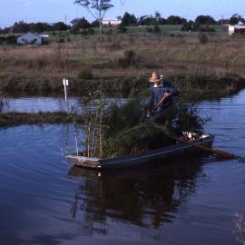 Norm George and Michael Pope ferrying plants to Canoe Trail Island, Shortland Wetlands, NSW, Autumn 1989