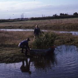 Michael Pope and Norm George landing with plants, Canoe Trail Island, Shortland Wetlands, NSW, June 1989