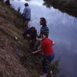 Canoe Trail bank planting, Shortland Wetlands, NSW, June 1989