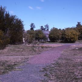 Garden mounds, Shortland Wetlands, NSW, September 1989