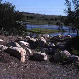 Visitors Centre gardens, Shortland Wetlands, NSW, December 1989
