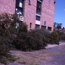 Visitors Centre garden, Shortland Wetlands, NSW, December 1989